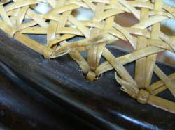 Zamijena španjolske trske