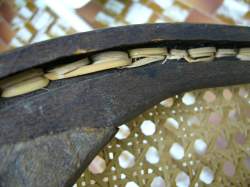 Pletena trska za thonet stolice