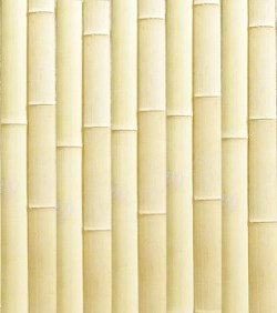 Oblaganje zidova bambus lamperijom